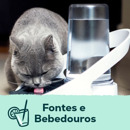 Fontes e bebedouros para cães e gatos